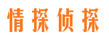 安远捉小三公司